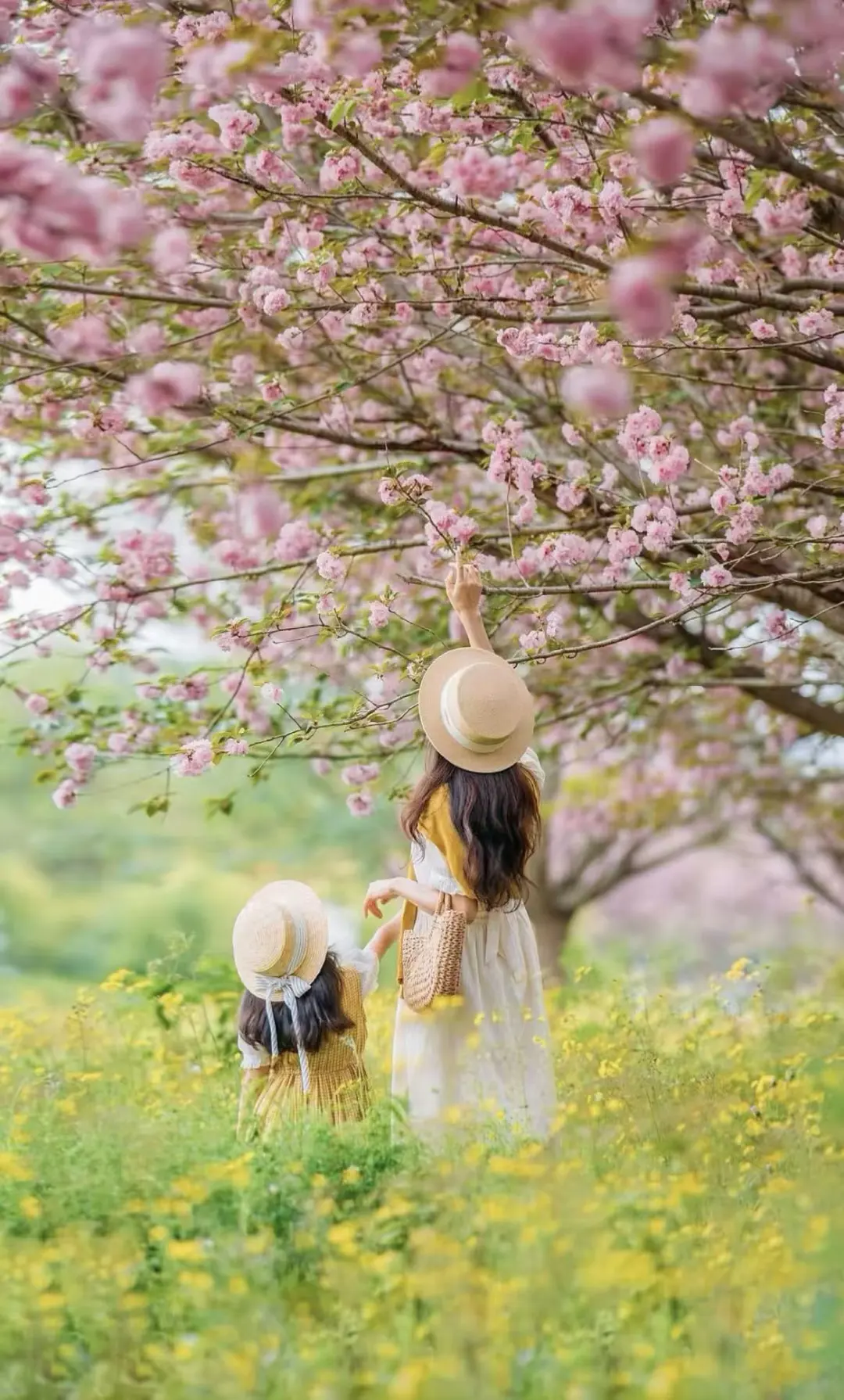 e64193221538441905600958202a1fb3-sz_295004-2