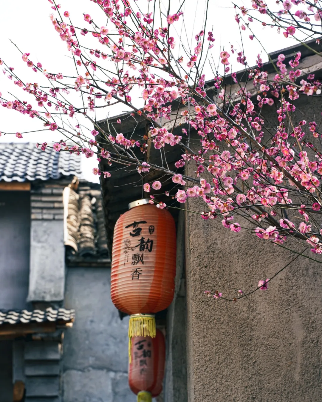 e709dcd13373bcccbaacec6a864a7a4a-sz_1783061