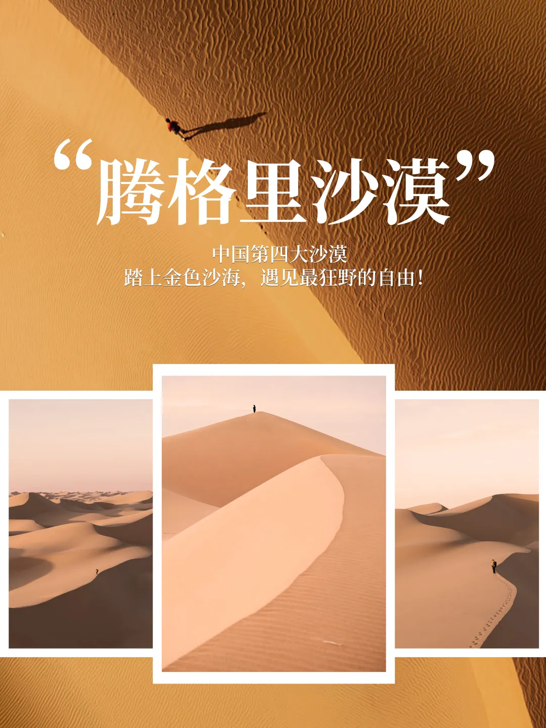 6.12号丨腾格里沙漠邀请函丨2+1车丨穿越五湖地球之心丨一半沙漠一半海丨寻找1958沙漠火车丨红酒晚宴丨丨无人机航拍