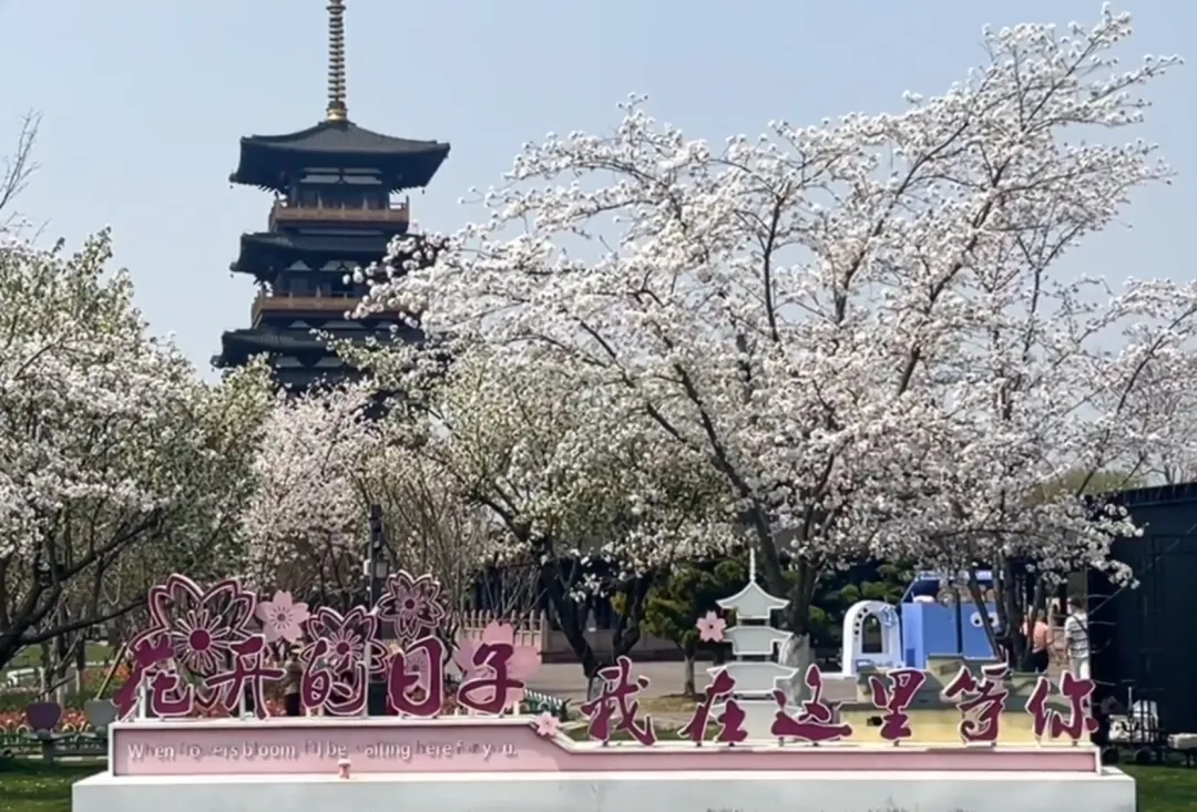 e7250dffc6e1396f45f7aaf04f52e535-sz_996449