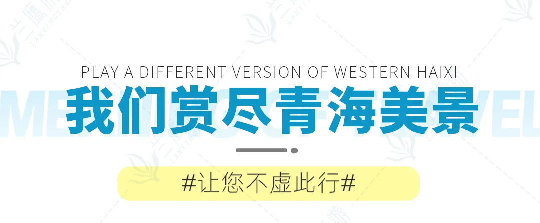 e77085bdcc3342a15a48dfa132f32d54-sz_166609-2