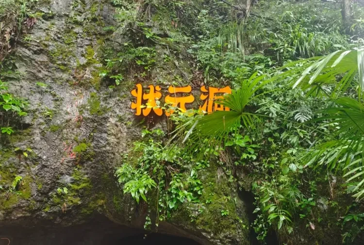 e7c087581169d164a870430d39190662-sz_1262143