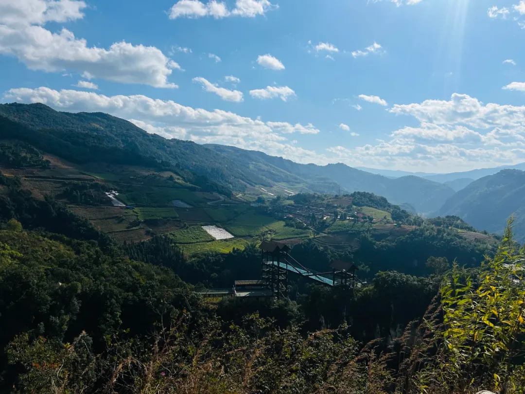 e8eecc8ae40bc3bb55df98cbb0978114-sz_2544651-1