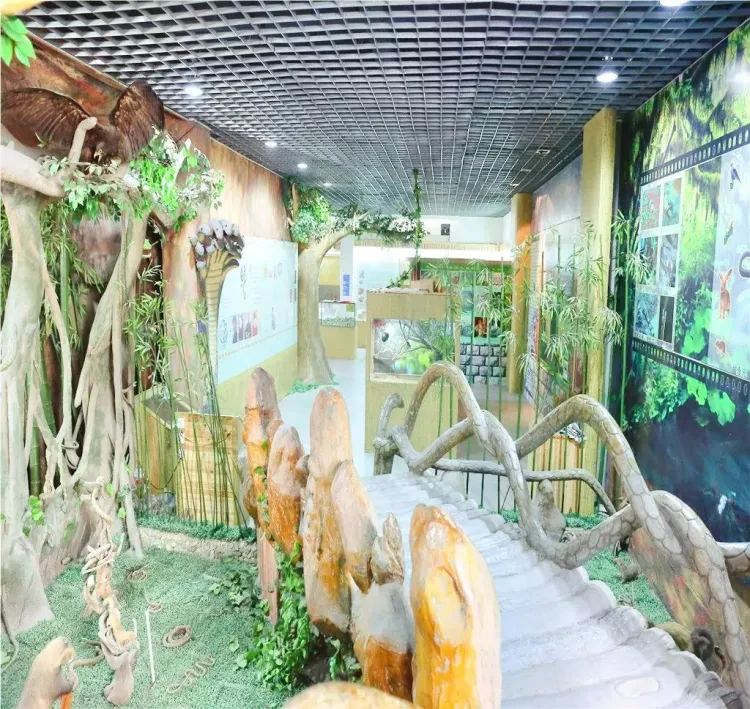 e8f91f3316b46e7c4f4a35817648d1b3-sz_1988703