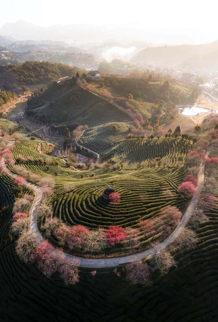 eMngnaTNrw0WC8v52aX0rEv2dK-tcI7v