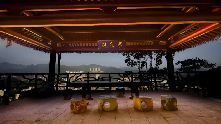 ea307c5e8cc3f3f57ae5434a6f0ace39-sz_725378