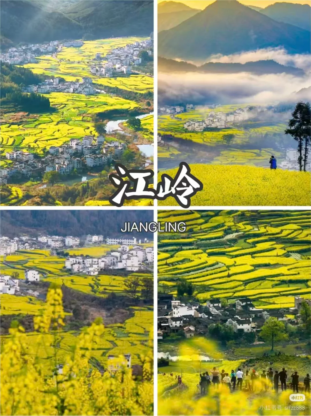 ea4f6cdb1ed2f0f432eb96f01352d55d-sz_3915829