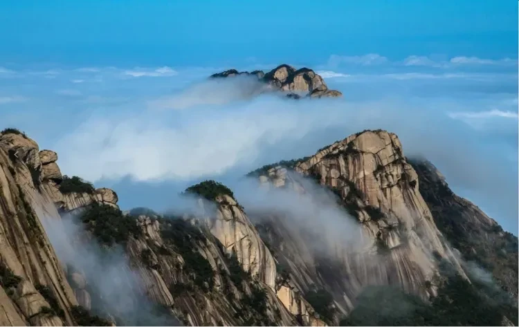 ea533027de23bd916c145b0c500bcd6d-sz_945500