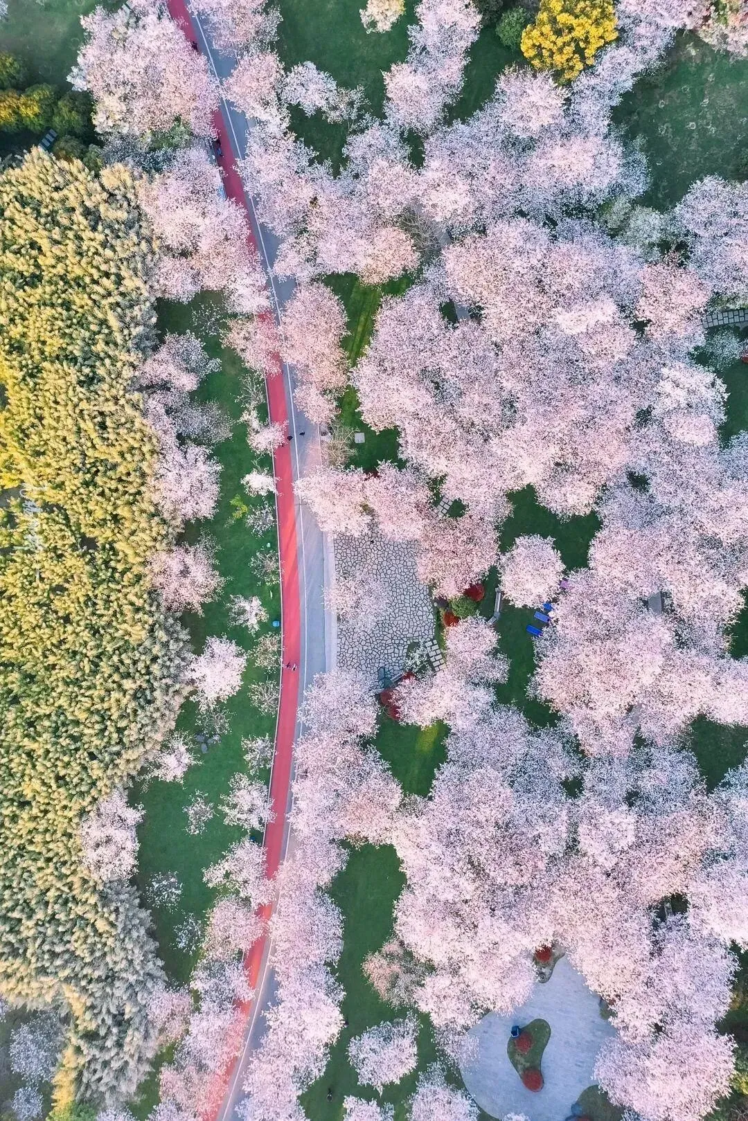 eb350755ef001924303aa82e2d3bf831-sz_712283