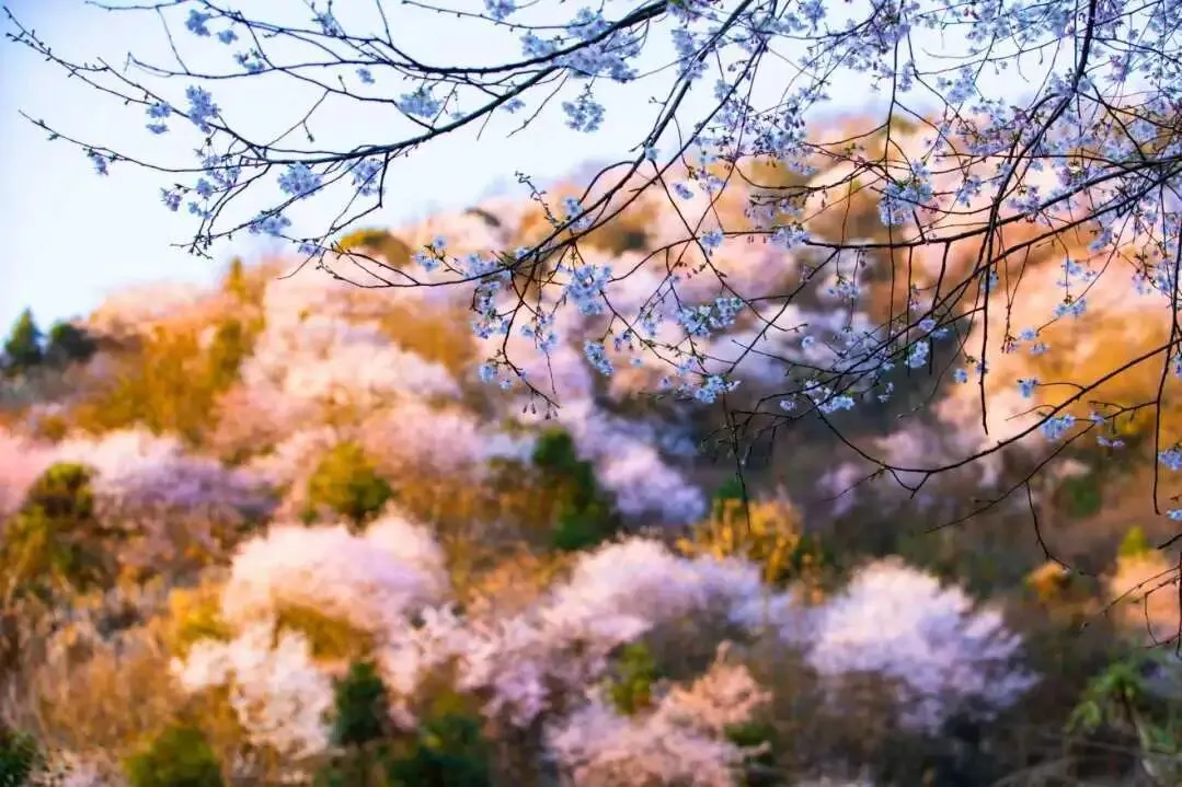 eb574e3256c6f83dd32be191884c7f9f-sz_142669