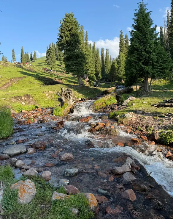 ebb2e0f965a0620aa92dc31c7d133769-sz_1059263