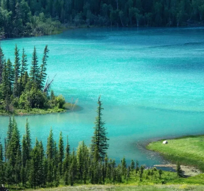 ebb5d2937b292766054328fcc75ab501-sz_1265747