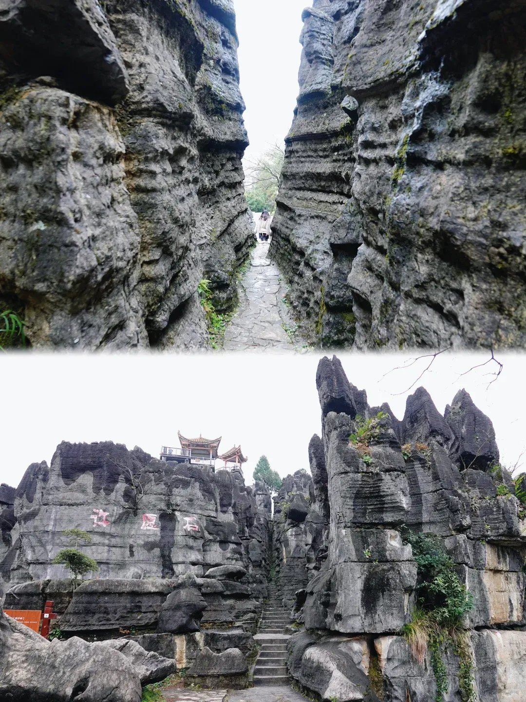 ecbdcaba3013707f9840a91faa526a71-sz_2799671