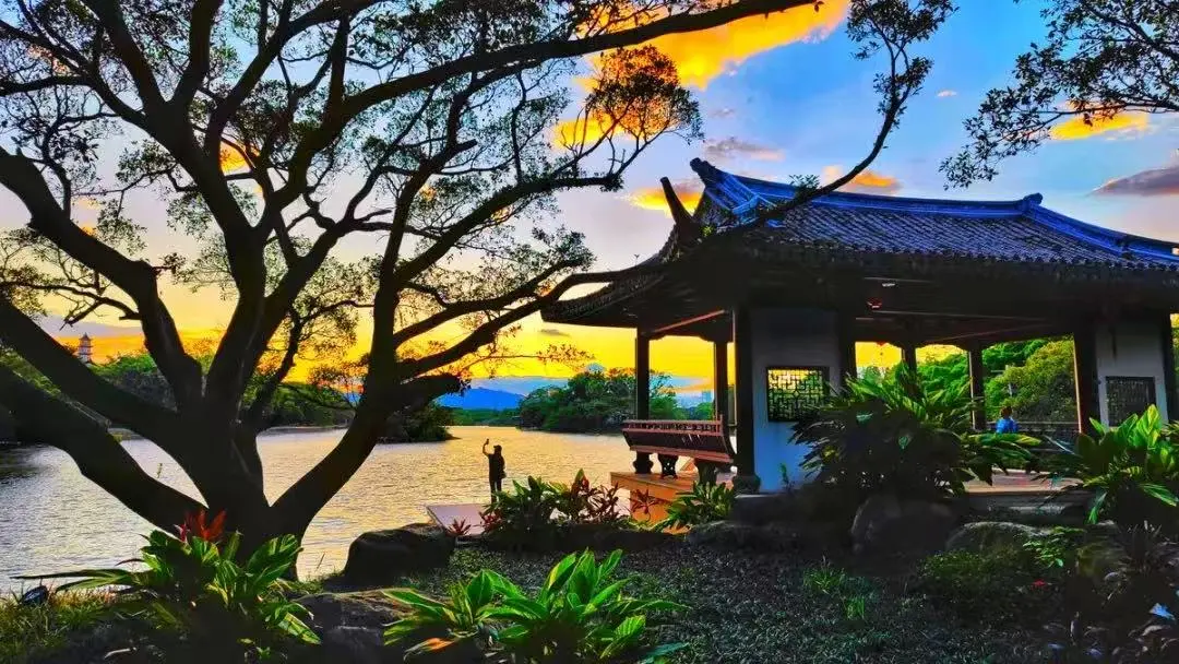 ed8404d1cc73250f8f99a0fa6d291c5d-sz_168036