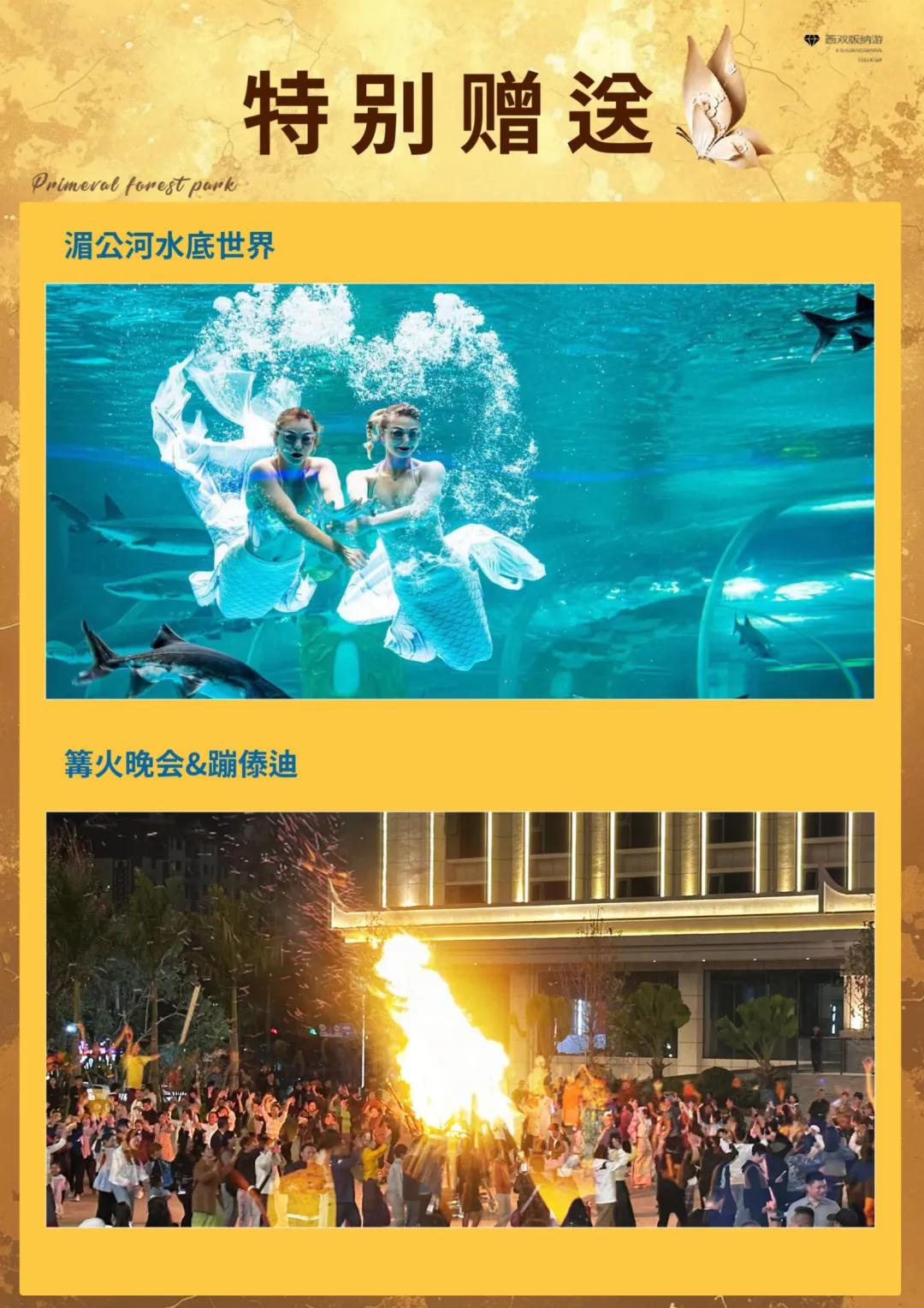 ed8e0968de4758fc8d7b3263db999184-sz_4187919