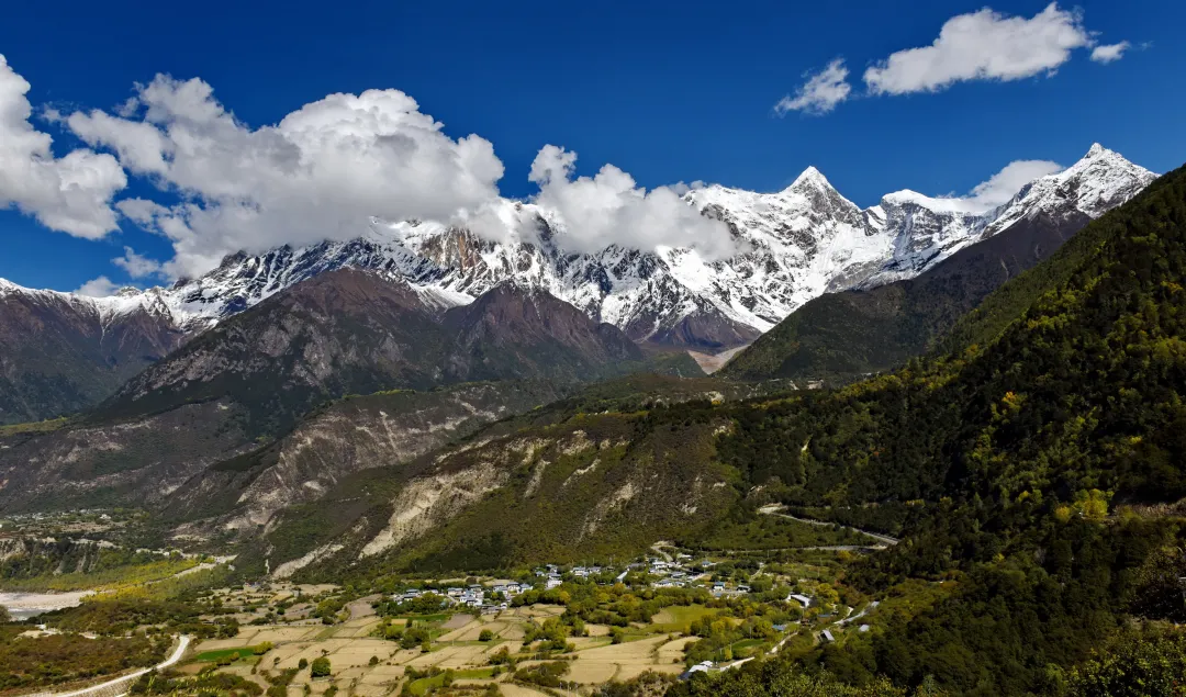 ee65ca7b7e0c7e2e22276281d1f05fc4-sz_2447483-1