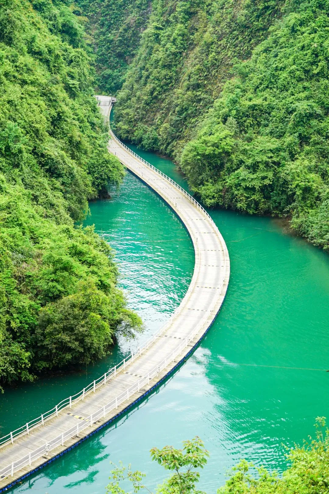 eebe9090d8ef39b114687abd96dae0db-sz_515614