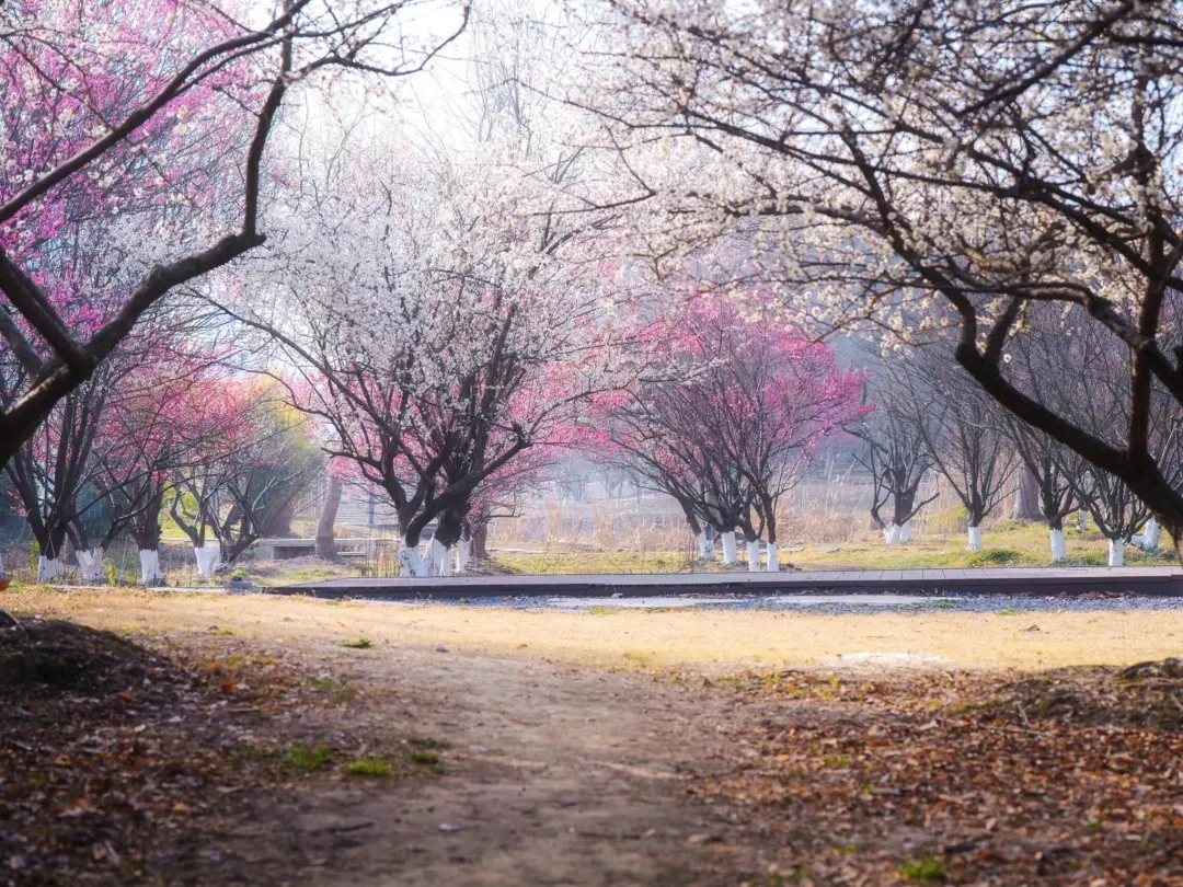 eecd8d102b6d8491b01ac42758ae69d0-sz_750105