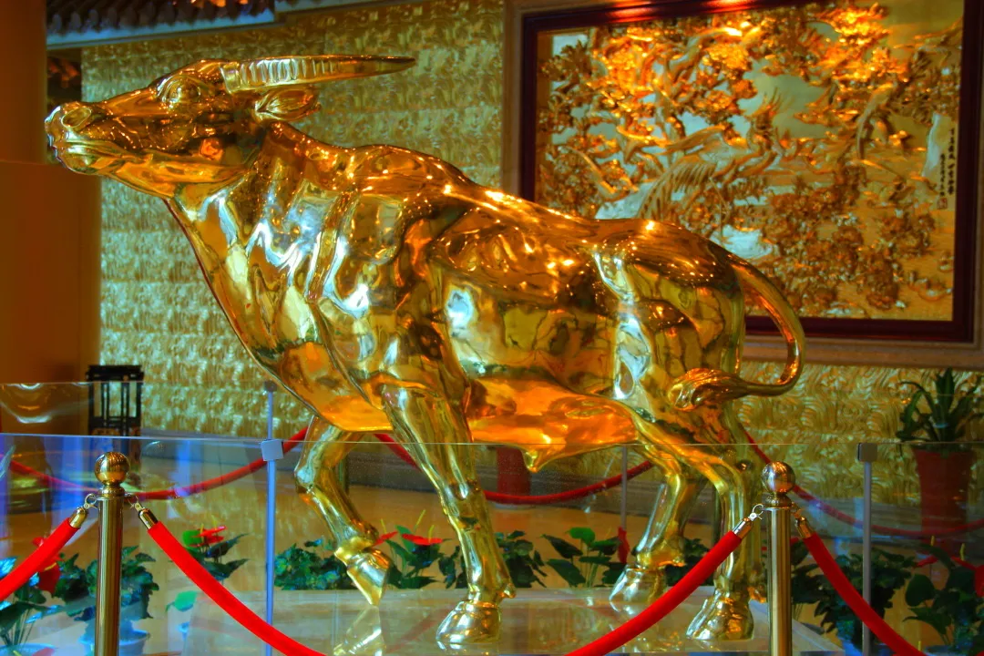 eeff24e3149c413f84ce77daf0ef6977-sz_360159