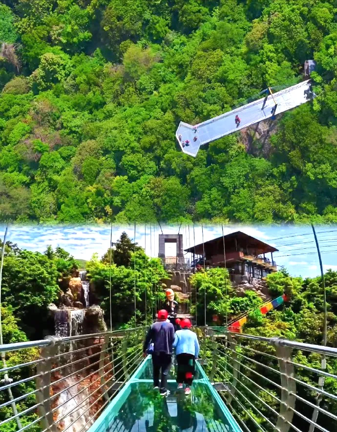 ef9750898a3fd1238a6b46fceab8df65-sz_225573