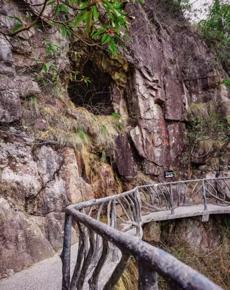 efd78c9283cd7091b2f405f0c0e38b69-sz_1975981