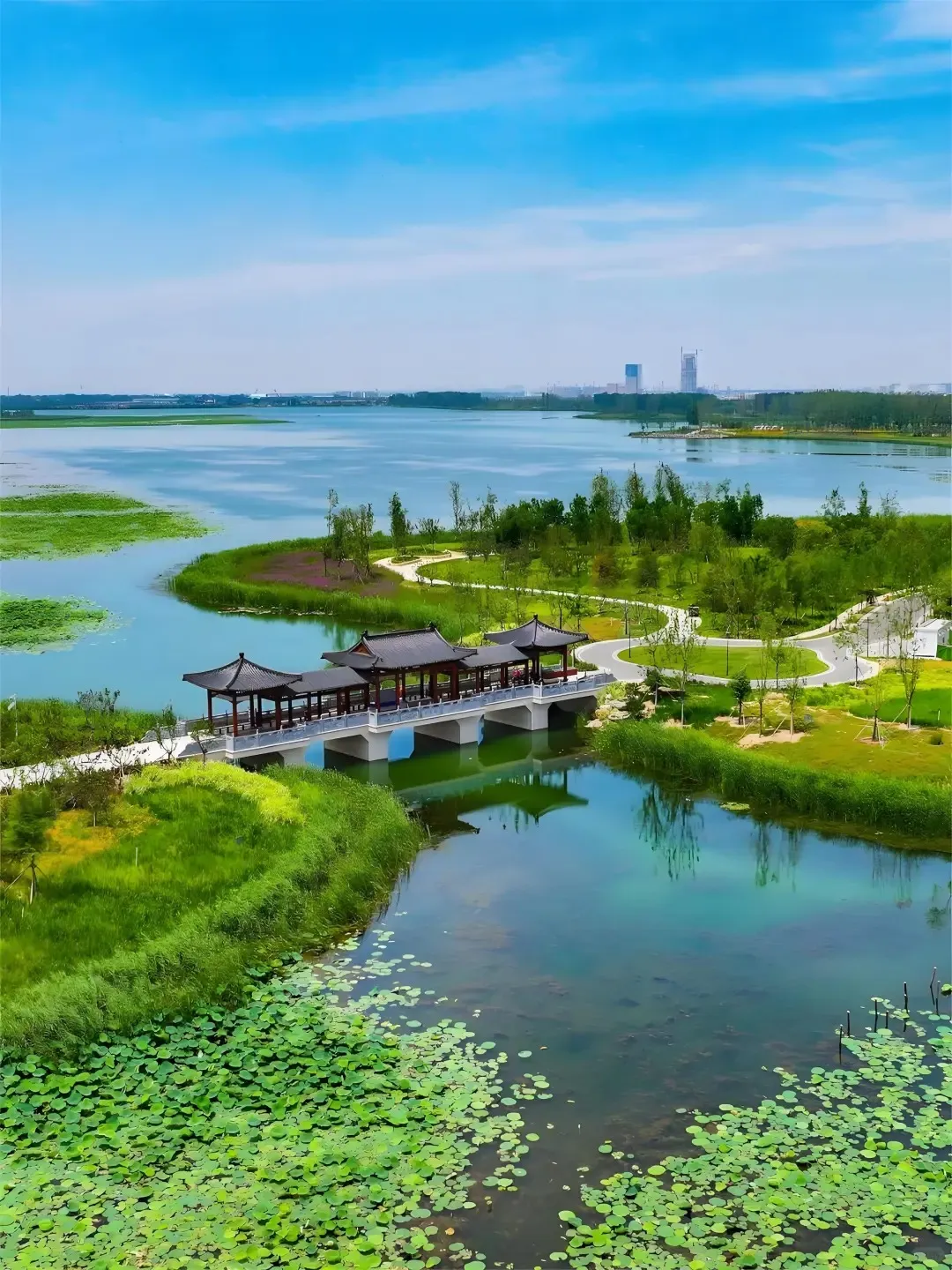 f05c8e76ed1b597e0c28f2c44d7f9c4c-sz_455389