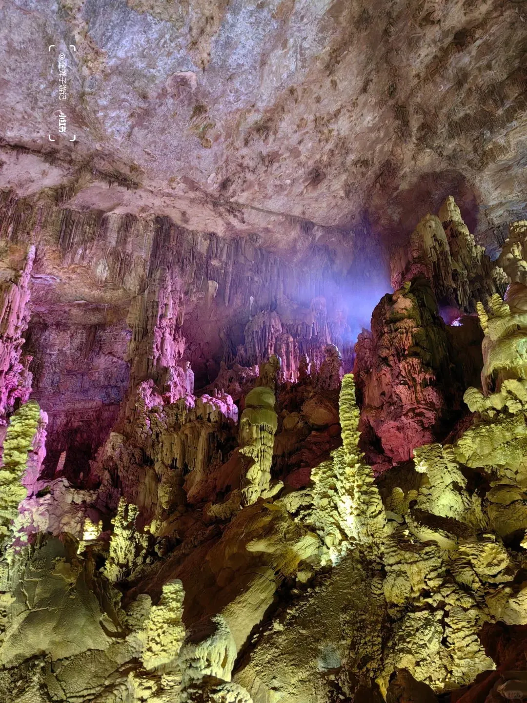 f083593a56f9afef9e4b8c21635de8b0-sz_412518