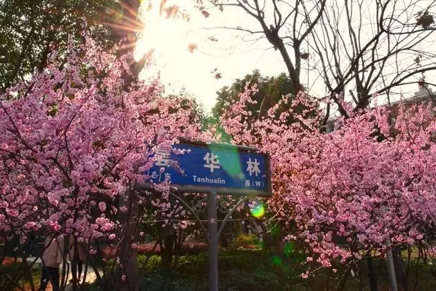 f0bac6d1869931edbd3a6fd852917367-sz_98211