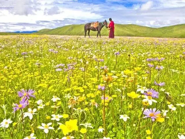 f0ee3e05ab5e3ff10d284750b98e4bae-sz_75249