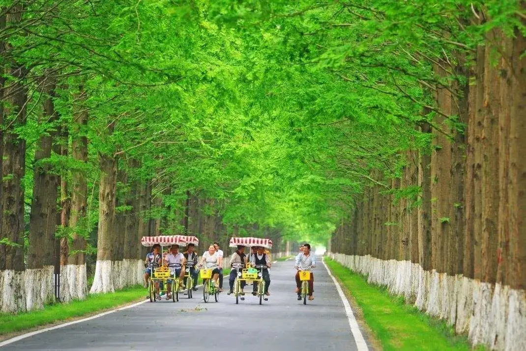 f0ff23777901273c6dbb9ab00e4bfdef-sz_169361