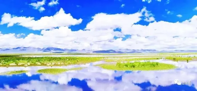 f13367fd1763d9950e234dfcf1ba92bd-sz_249728