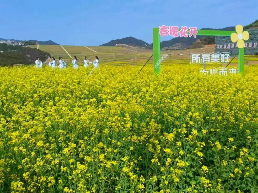 f1f77984ea1b1692c713c58e84918361-sz_1712177