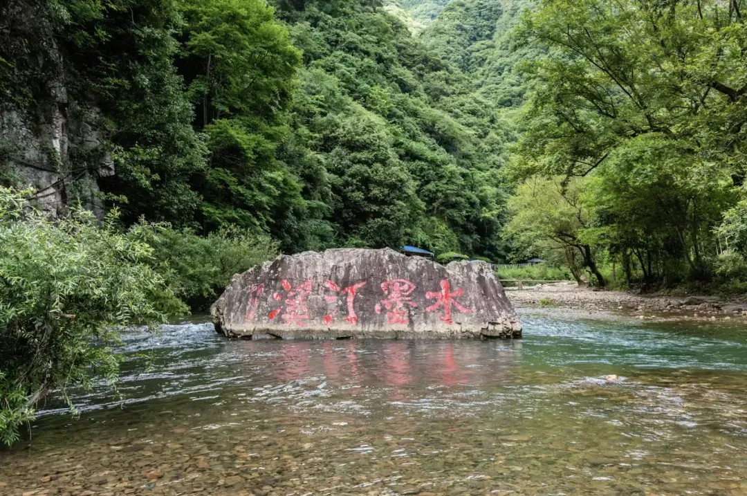 f2002c0cbe3f62889b8f876785e56e5b-sz_1740230