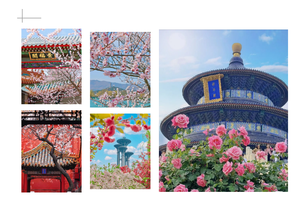 f26a471da1adfdeff890ec74f4b87d61