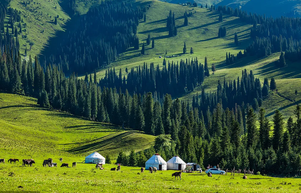 f2ede91b9361f055fea377af923fb2a6-sz_1261735