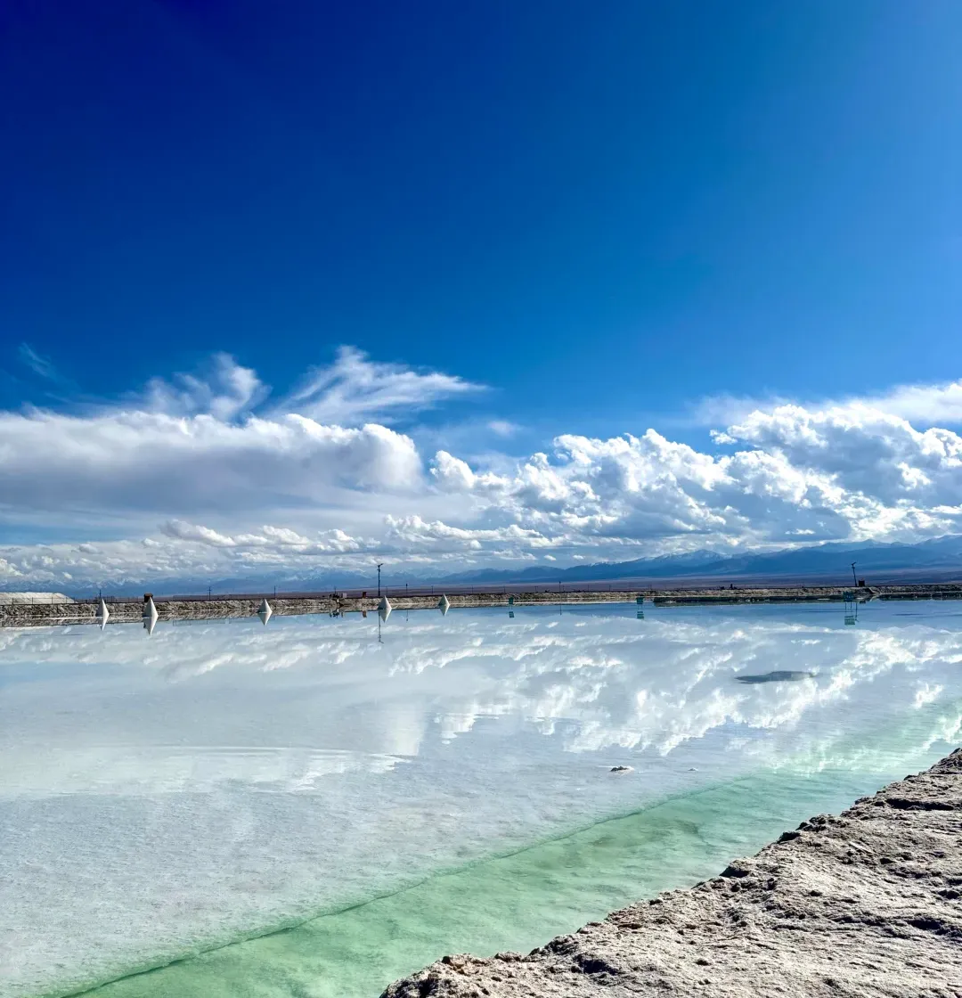 f2fff47cfe24ac5220c11a4519c1839e-sz_1658866