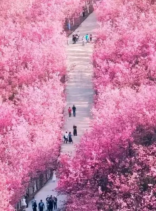 f3ba7a9de5c5e91d41e11d78eca42dd2-sz_1118050