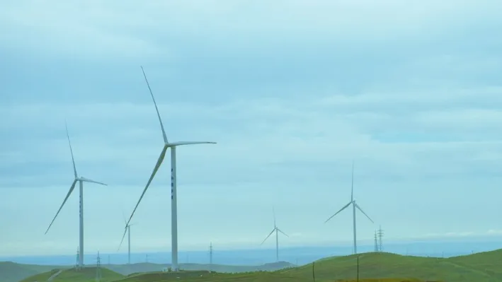 f3d533764d77a6e52218fae519f13b4a-sz_40117