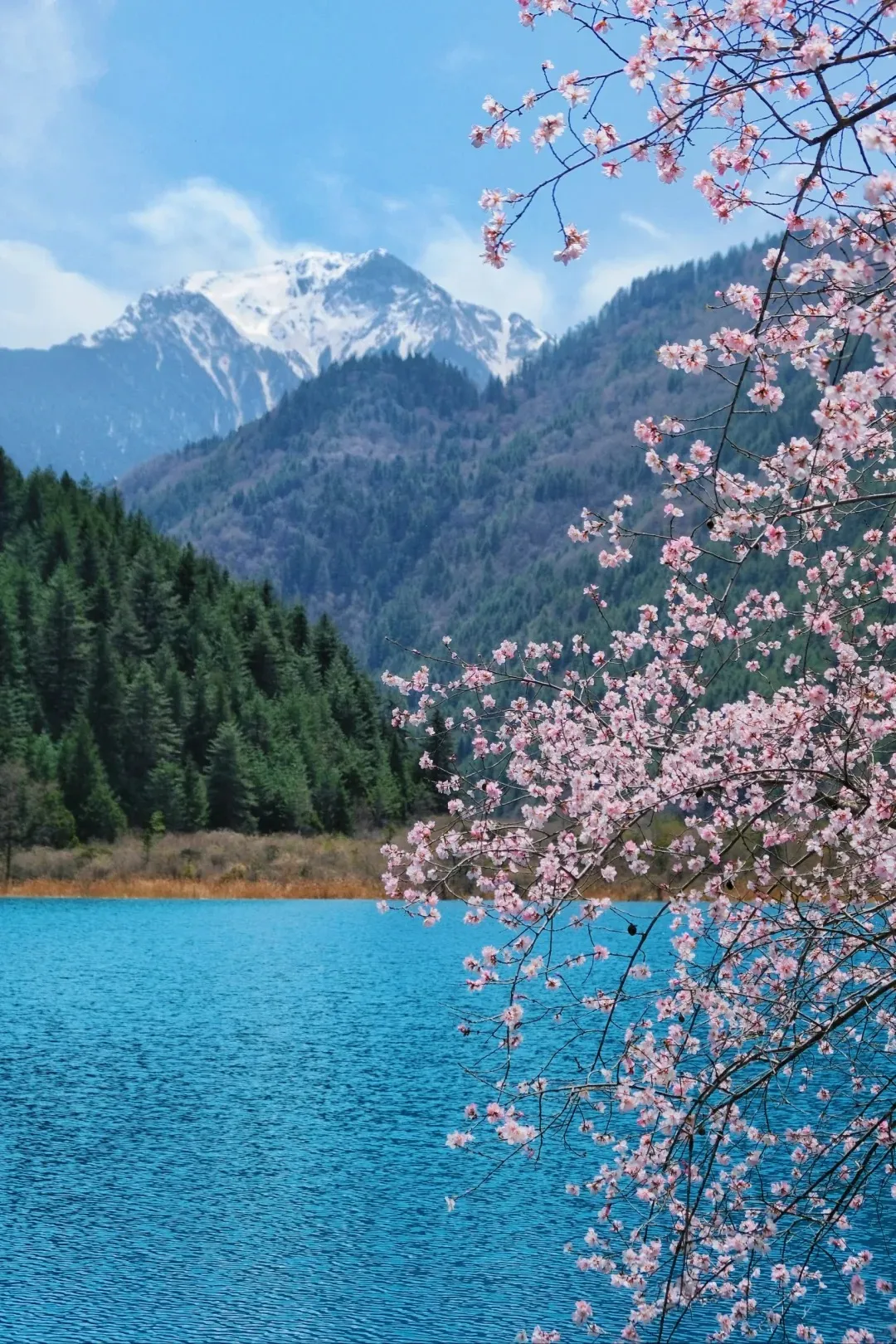 f3f1abcdf5209711c5d1dca5bdf18ac5-sz_630359