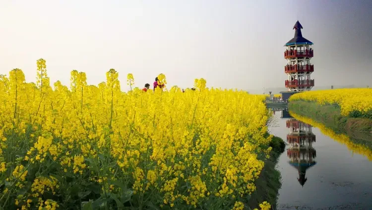 f44f605c6815690b1c4d681acbde9fef-sz_320410