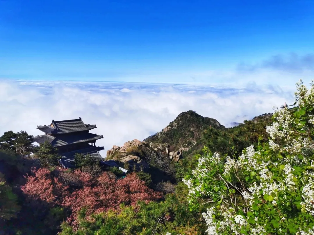 f45b145730957dacf7c1095263e583a5-sz_789761