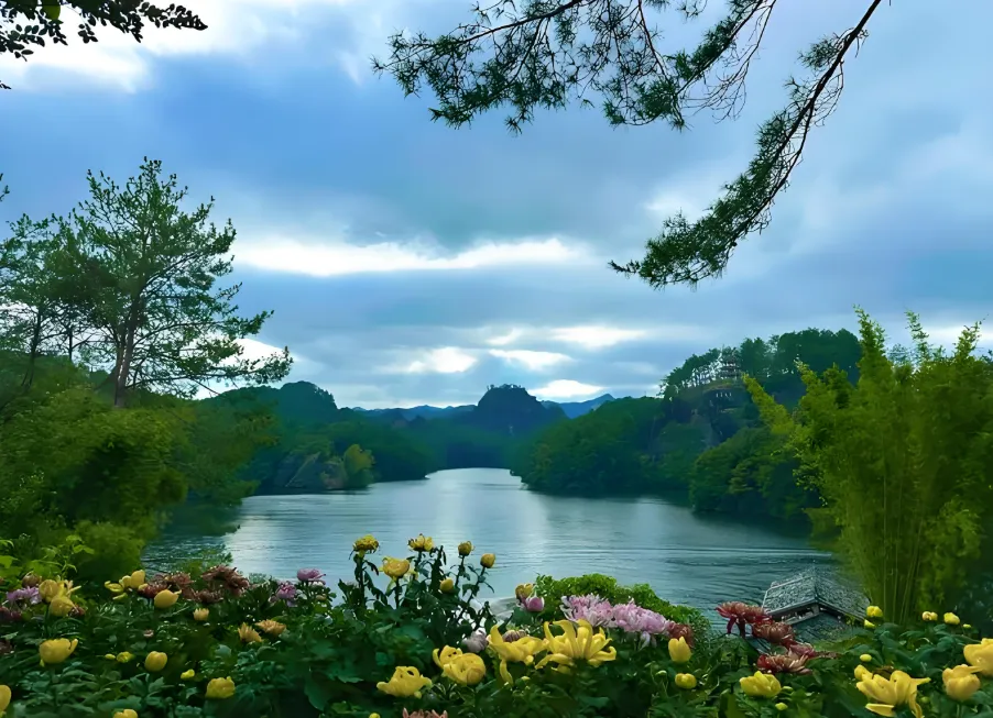 f46d067d8a5e5beded3ce9d82ed4290d-sz_1243734