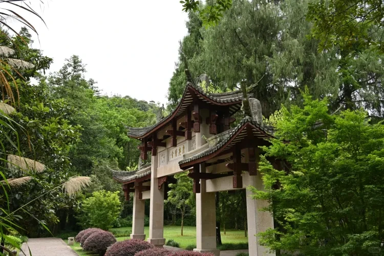 f499f588acd5a87fb306182af9e5f52d-sz_3986162