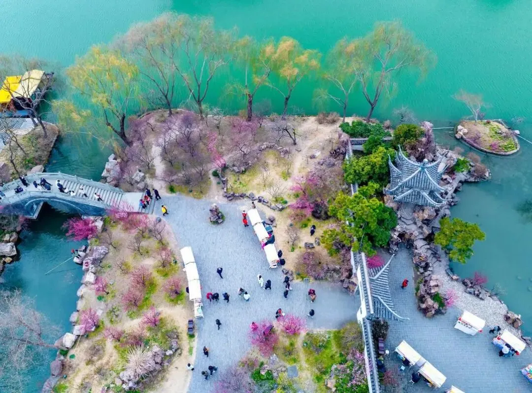 f4b206f1fc1cee63dbcbc46928258479-sz_192854