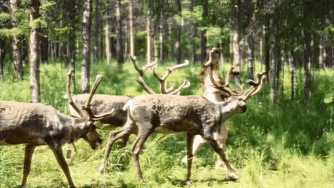 f4e659d364443e15d71523bc39e2bfda-sz_4502021