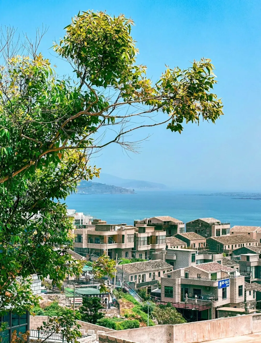 f5166a792f288cf822b5701e5f2d26e0-sz_3209023