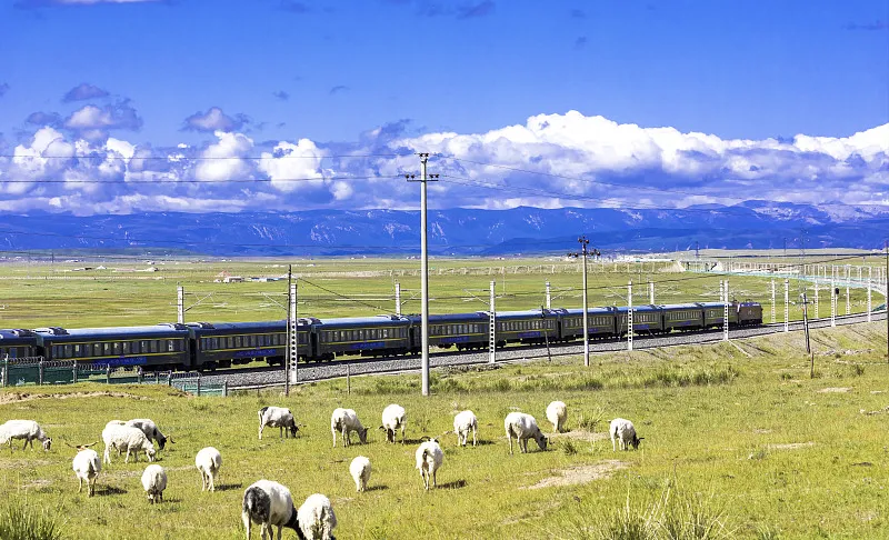 f5b81d195274c60c93fd9dc4b89a7c65-sz_214402