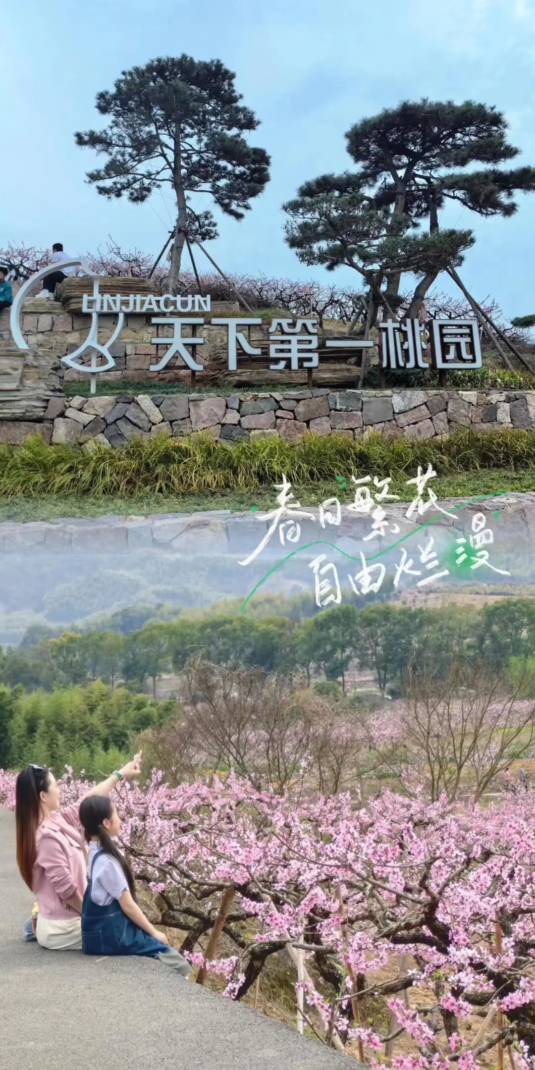 f5ee8a1b059fd1467151899a74aac8f5-sz_438501