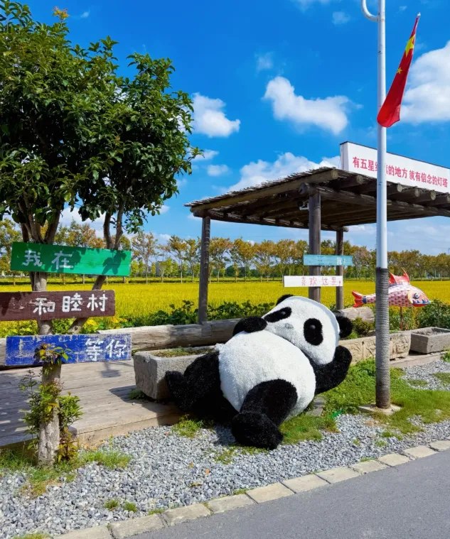 f611df166d0791d464b3bbf175370f9e-sz_1240310