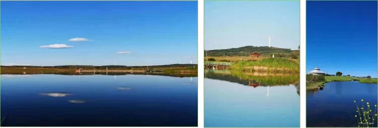 f65182a273a653bde3d8dc8c46d8c564-sz_429283